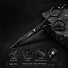 CHITIAN Z-01 black titanium barber shears, spear-point blade, product view