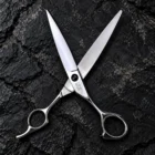 CHITIAN Z-07 68S 6.8-inch professional cutting scissors — Back view on black stone
