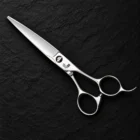 CHITIAN Z-07 68S 6.8-inch professional cutting scissors — Front view on black stone