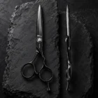 CHITIAN Z-01 black titanium scissors, front and side views