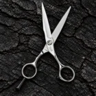 TOMIDAPRO F-01 58S 5.8-inch hair cutting scissors — Back View
