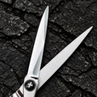 TOMIDAPRO F-02 60S 6.0-inch wet and dry cutting scissors — Blade Detail