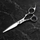 Z-02 60S professional slide cutting scissors, product image 1